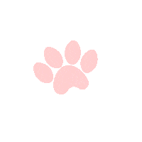 Cat Fun Sticker by Elmut