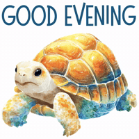 Greetings GIF