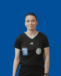 Sport Bundesliga GIF by Das Örtliche