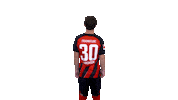 Turn Sge Sticker by Eintracht Frankfurt