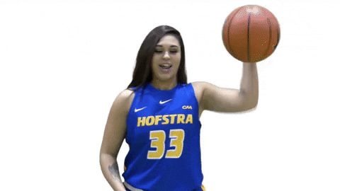 Basketball GIF by Hofstra Pride