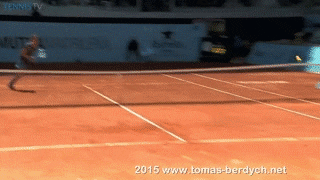 blog tomas GIF
