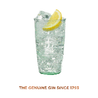 PlymouthGinGlobal drink alcohol gin gt Sticker