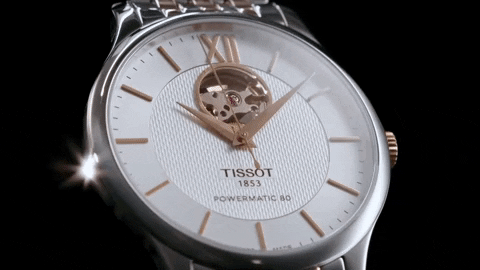 whichwatchnext giphyupload GIF