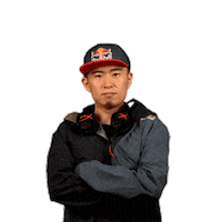 japan no Sticker by Red Bull