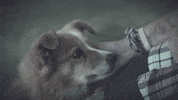 Misfits Salon GIF by BBC Three