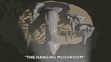 mushroom cave GIF by South Park 