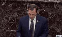 Impeachment Trial GIF