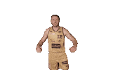 Basketball Koszykowka Sticker by Trefl Sopot