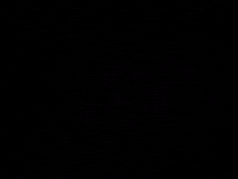 GIF by Beastarwithus