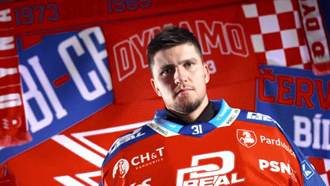 Tomas GIF by HC Dynamo Pardubice