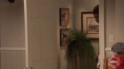 Snoop Dogg GIF by ABC Network
