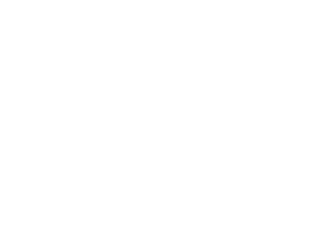 Groovetheshow Sticker by The Ruggeds