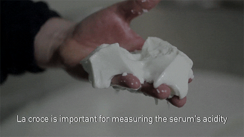 cheese mozzarella GIF by Digg