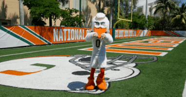 The U Dancing GIF by Miami Hurricanes