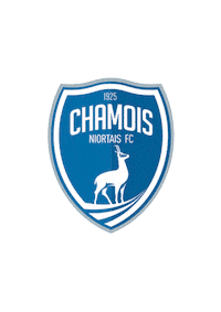 Ligue2BKT football l2 ligue2 niort Sticker