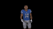 Look Up St Brown GIF by Detroit Lions