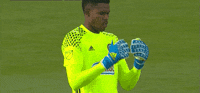 soccer mls GIF by Philadelphia Union