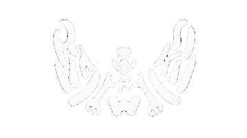 Echo_Hawks rock fly band remember Sticker