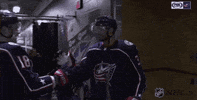 dust off ice hockey GIF by NHL