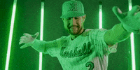 Baseball Ball GIF by Marshall University Athletics