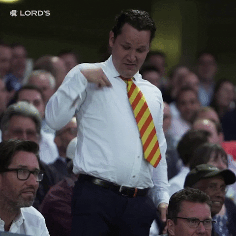 Happy Dance GIF by Lord's Cricket Ground