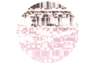 Syari Sticker by Cinq Music