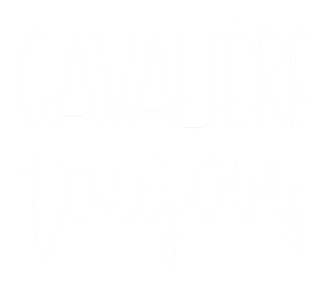 atelierponey white blanc francais cheval Sticker