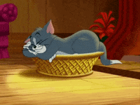 tom and jerry cat GIF
