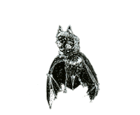 Halloween Night Sticker by Omer Gal