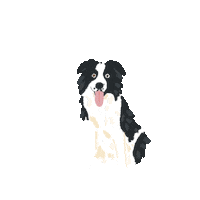 Happy Fun Sticker