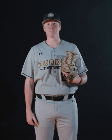 Surfs Up Baseball GIF by Purdue Fort Wayne Athletics