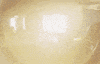 Country Music Yolo GIF by Steven Lee Olsen
