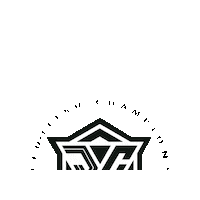 Fight Fighting Sticker by SilvaBJJ