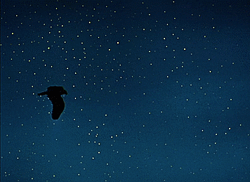 nilnil giphyupload the fabulous baron munchausen GIF