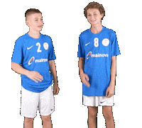 Mc Sticker by THE DOGS - TSV Pfungstadt Handball