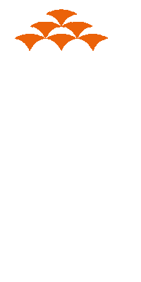 rsgdeborgen school middelbare school lindenborg rsgdeborgen Sticker