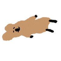 Emoji Quokka Sticker by Dinotaeng