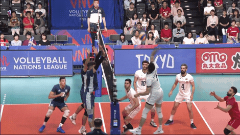 Argentina Save GIF by Volleyball World