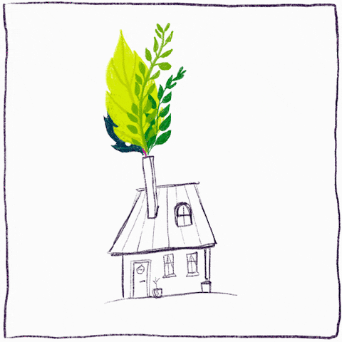 veronika_goetz giphyupload home house cozy GIF