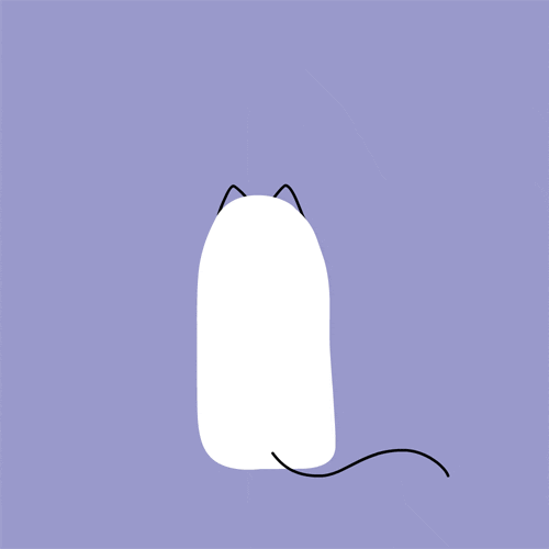 Cat What GIF by CsaK