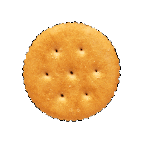 RITZKR giphygifmaker 리츠크래커 리츠 리츠우주공강 Sticker