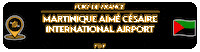 Fort-De-France Fdf Sticker by NoirNomads