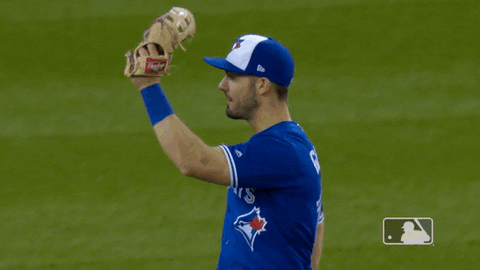 major league baseball hug GIF by MLB