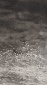 Black And White Art GIF