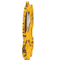 Travel Beach Sticker by Tur.com