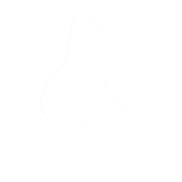 Art Design Sticker by henrique k