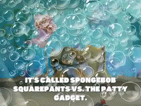 season 5 GIF by SpongeBob SquarePants
