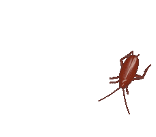 Illustration Loop Sticker by Janet Mac