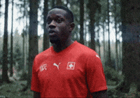 Denis Zakaria Football GIF by Herr Fuchs Zurich
